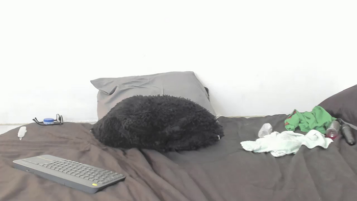 evanandsunny