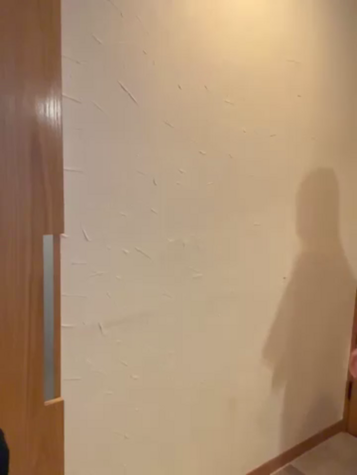 siorin_18