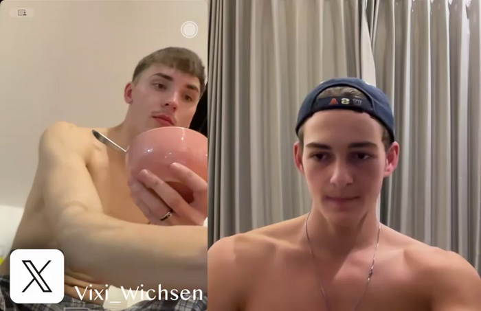 Vixi_Wichsen