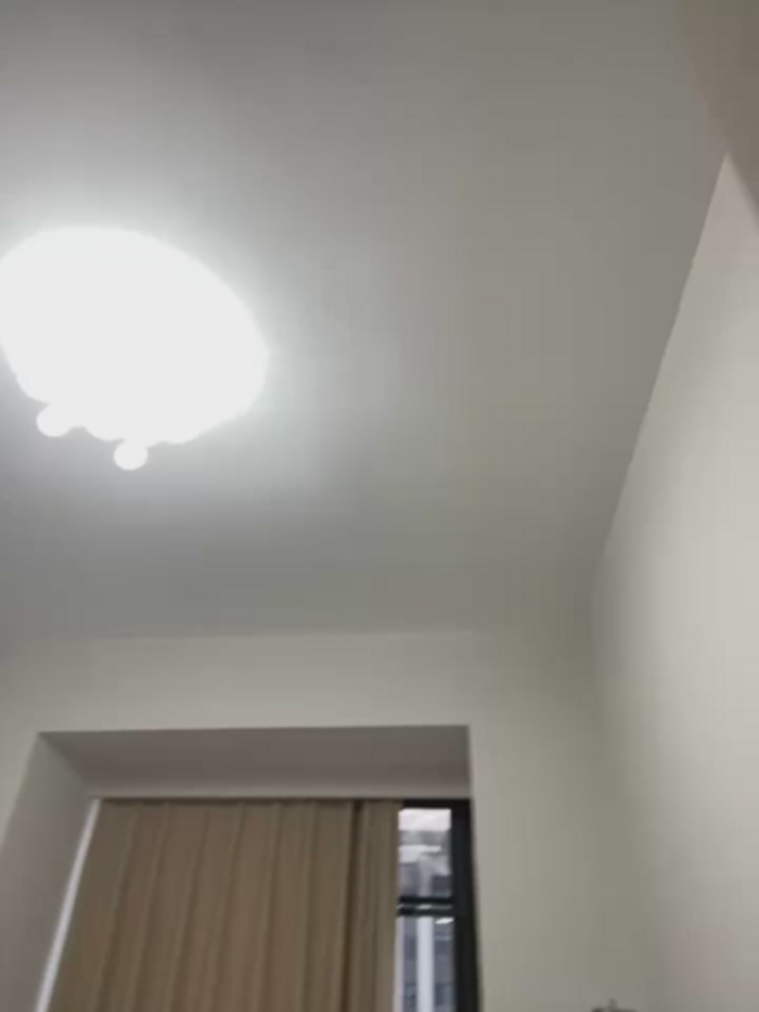 xyebobs