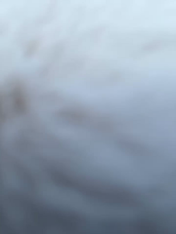 AngelinaTeller