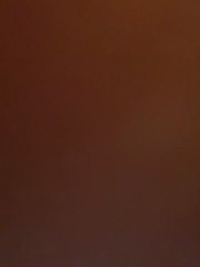 Amy_Litt