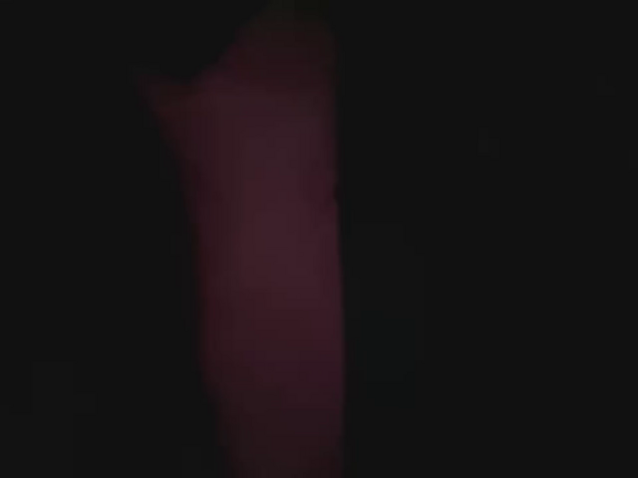 Joan_3191