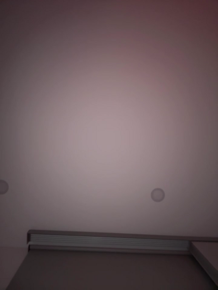 Brunettexio