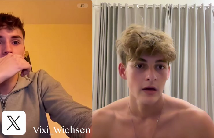 Vixi_Wichsen