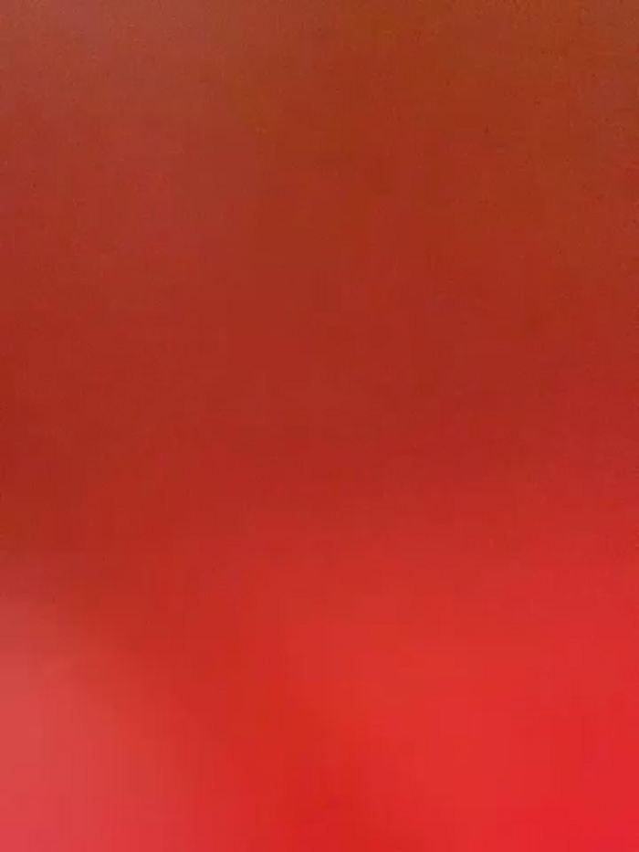 Amy_Litt