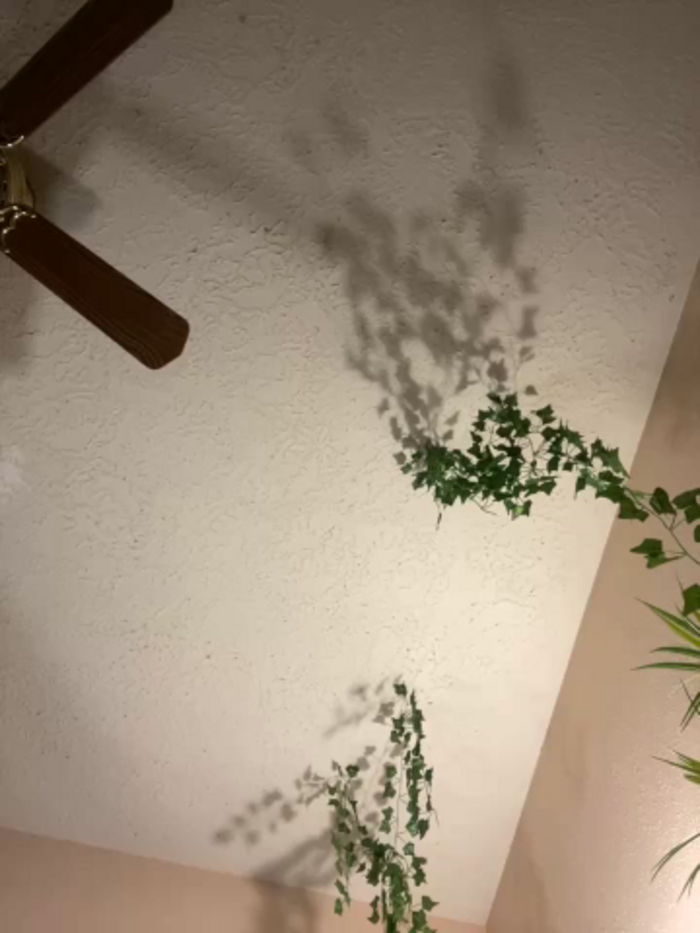 magicalc00ch