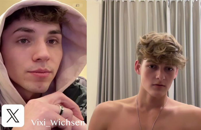 Vixi_Wichsen