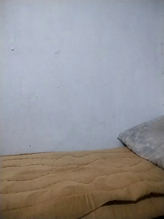 Dalou3a69