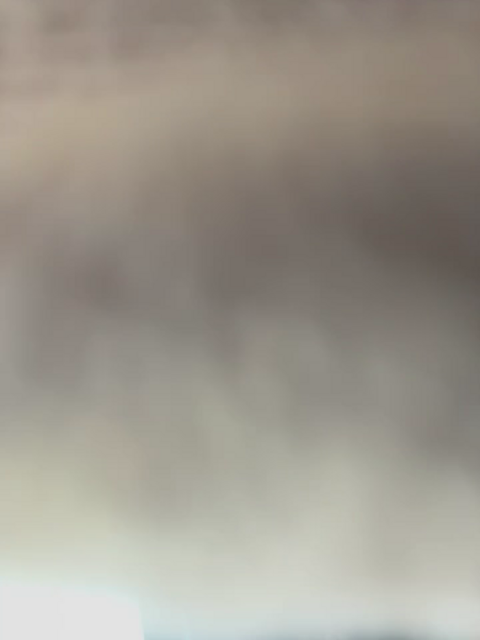 eveangelll