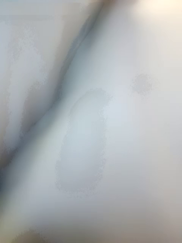 Frost_foxy