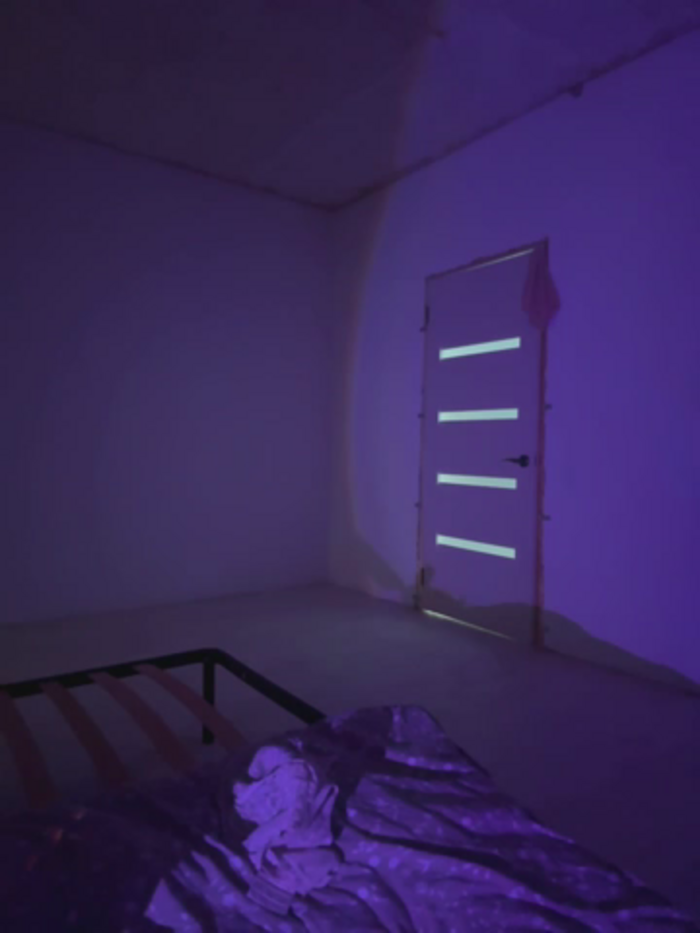 Rachel_Hashimoto