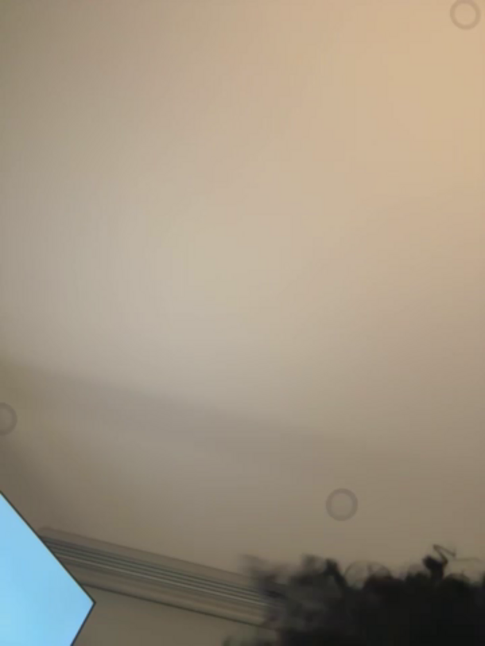 Brunettexio