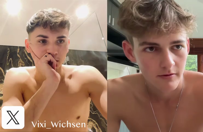 Vixi_Wichsen