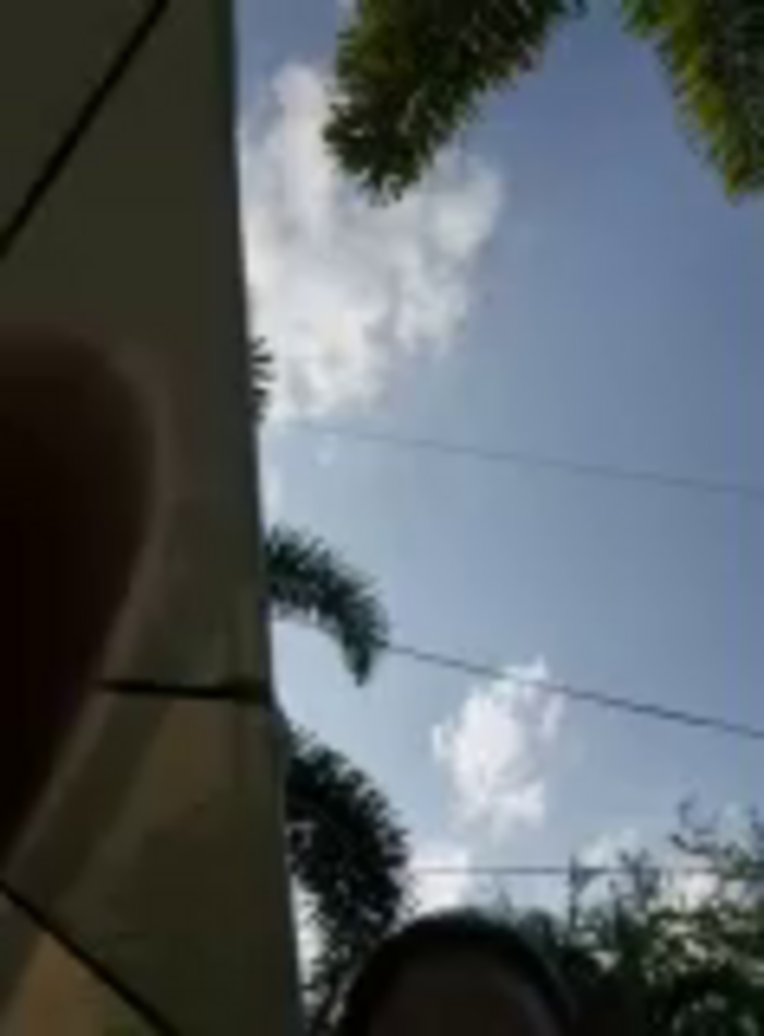 DAELAA