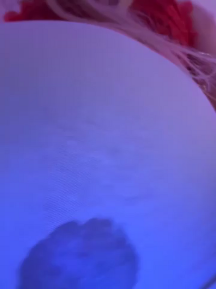 mollyxxx