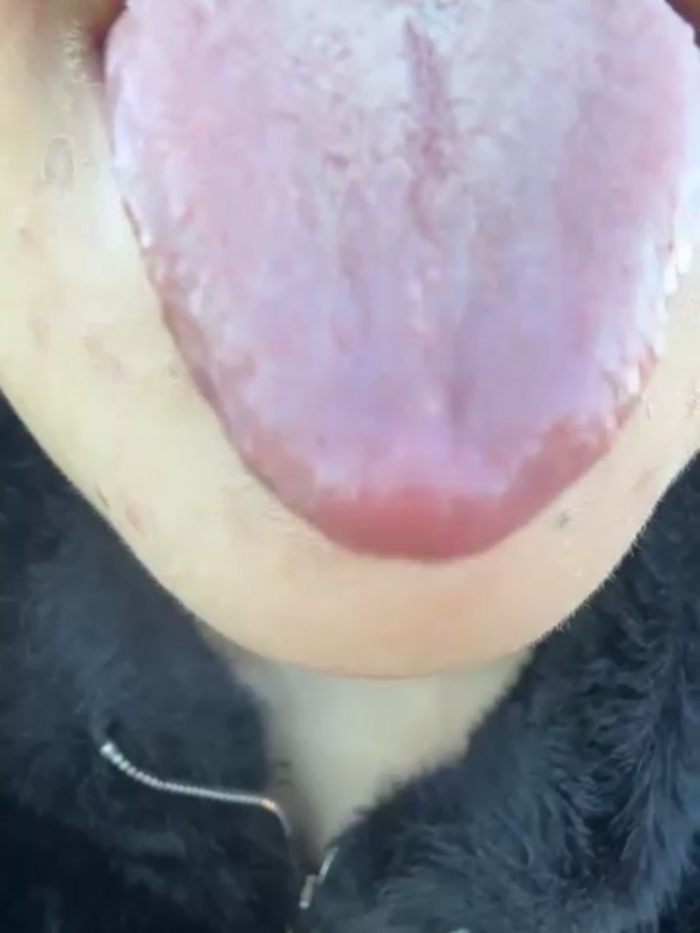 Lilith__D