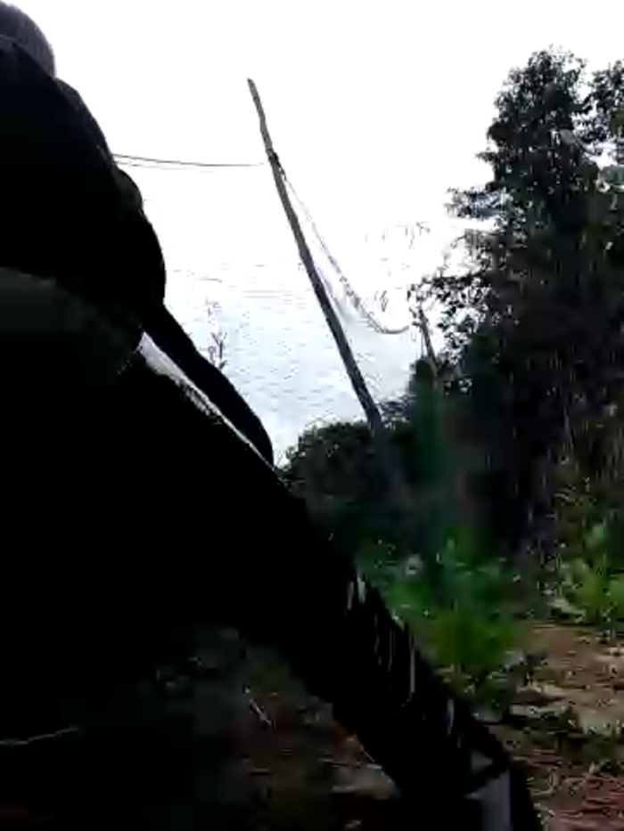 tara_0000