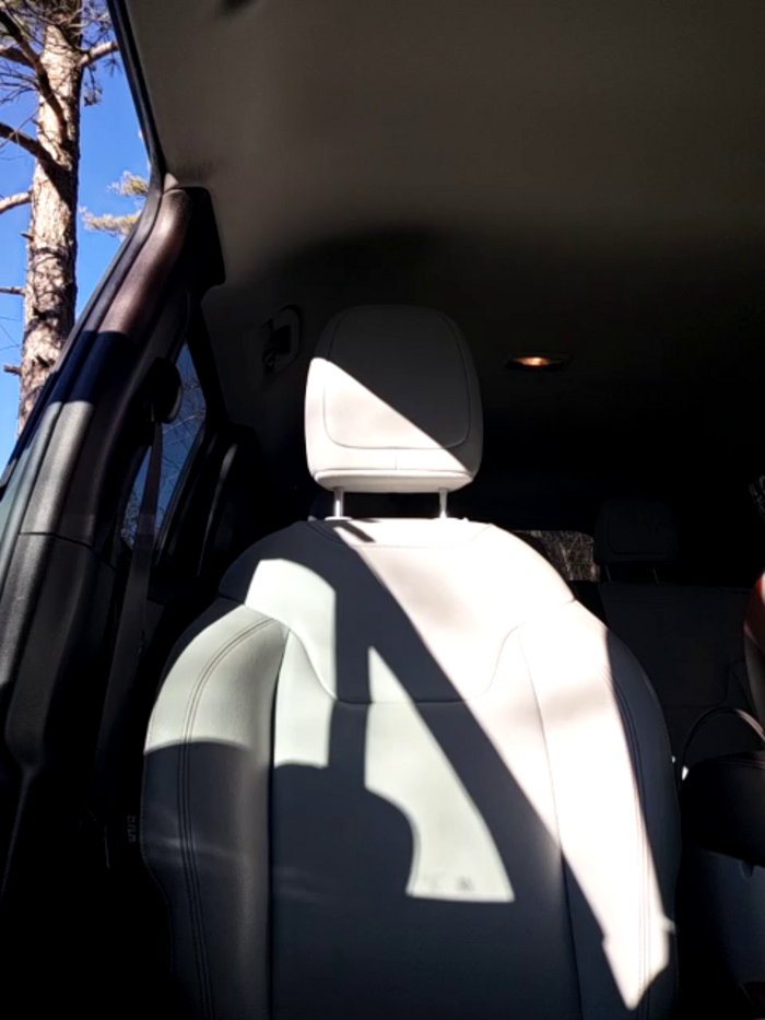 JasmineNoir2