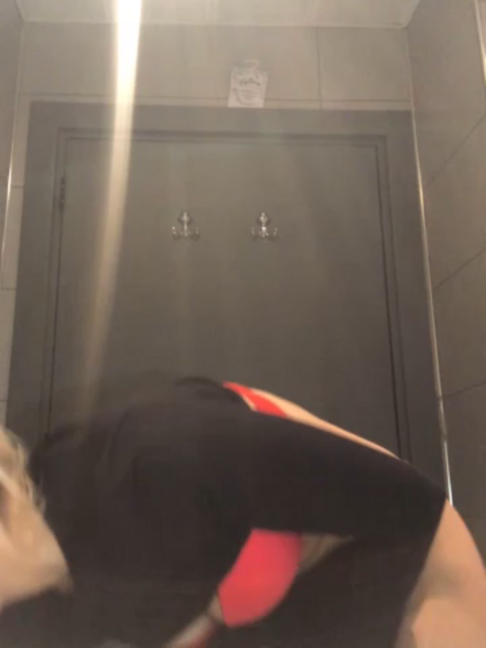 Diamond_Bunny_