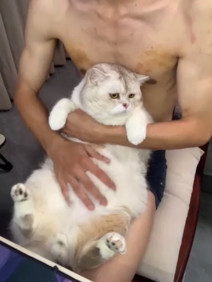 A11414