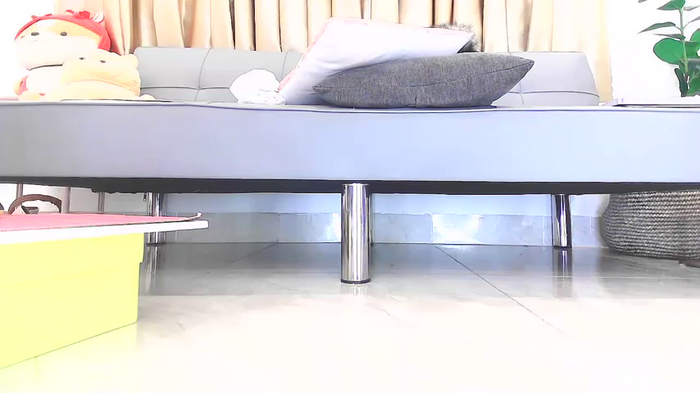 LABUBU-----2589