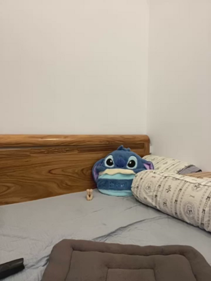 Tieumiu_9x