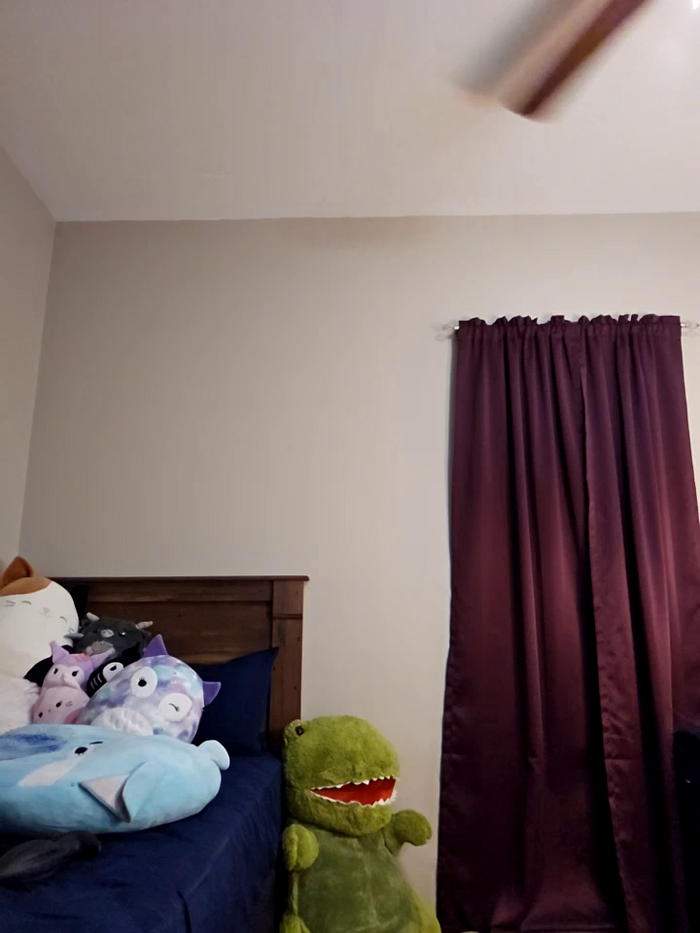 AmethystFoxx