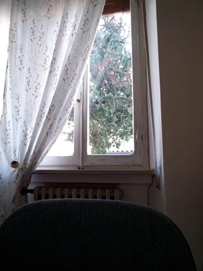 JasmineNoir2
