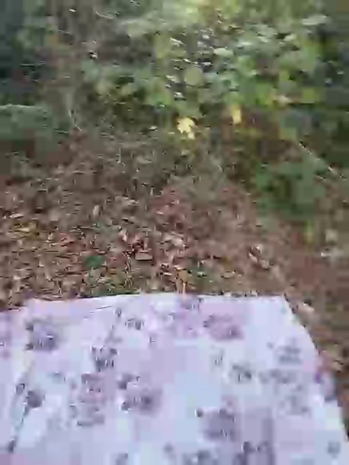 mariamac420