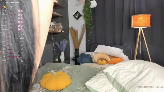 HinataBrooks