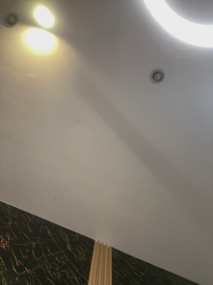Alexandra_duque