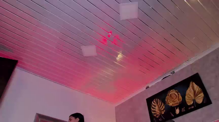vaneza_gl