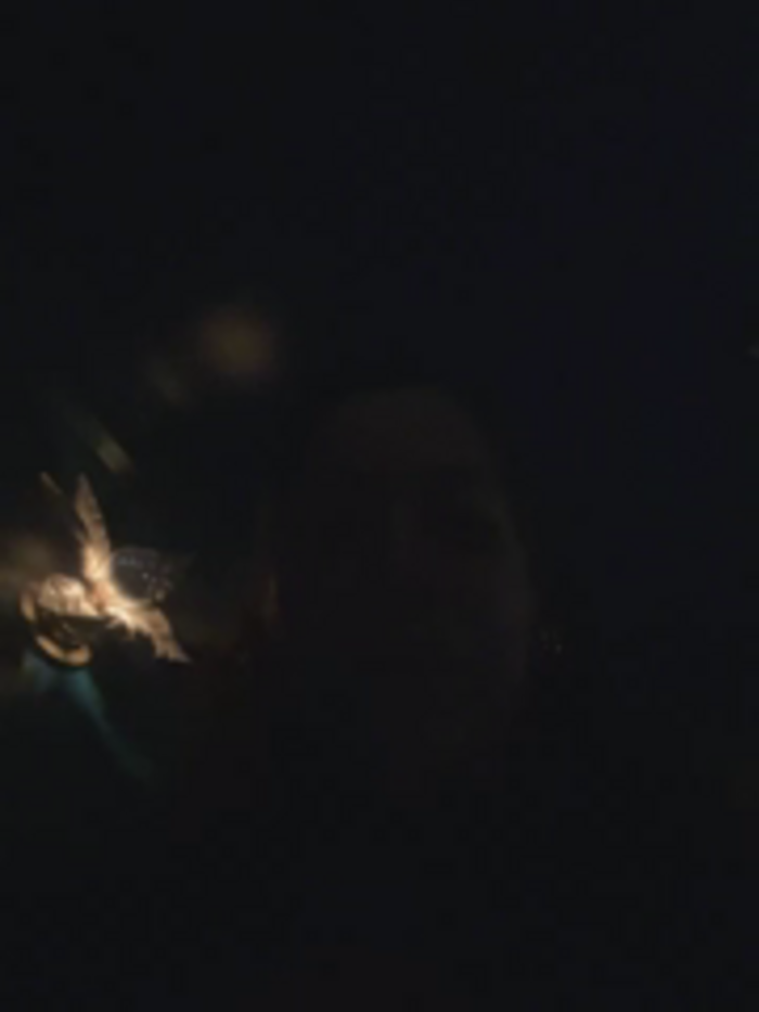 Bigbuttbrooklynn