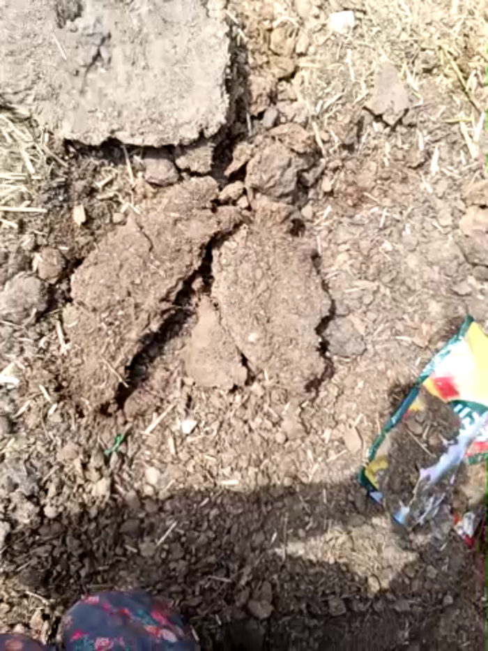 Indiankanak