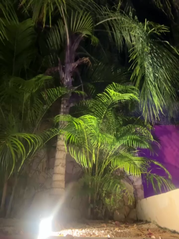 PartyQqHouse