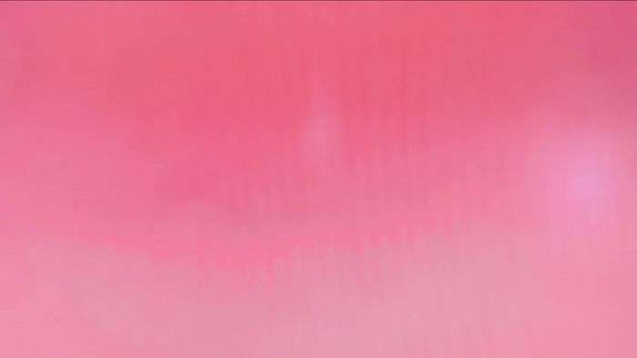Wet_Girlxxx