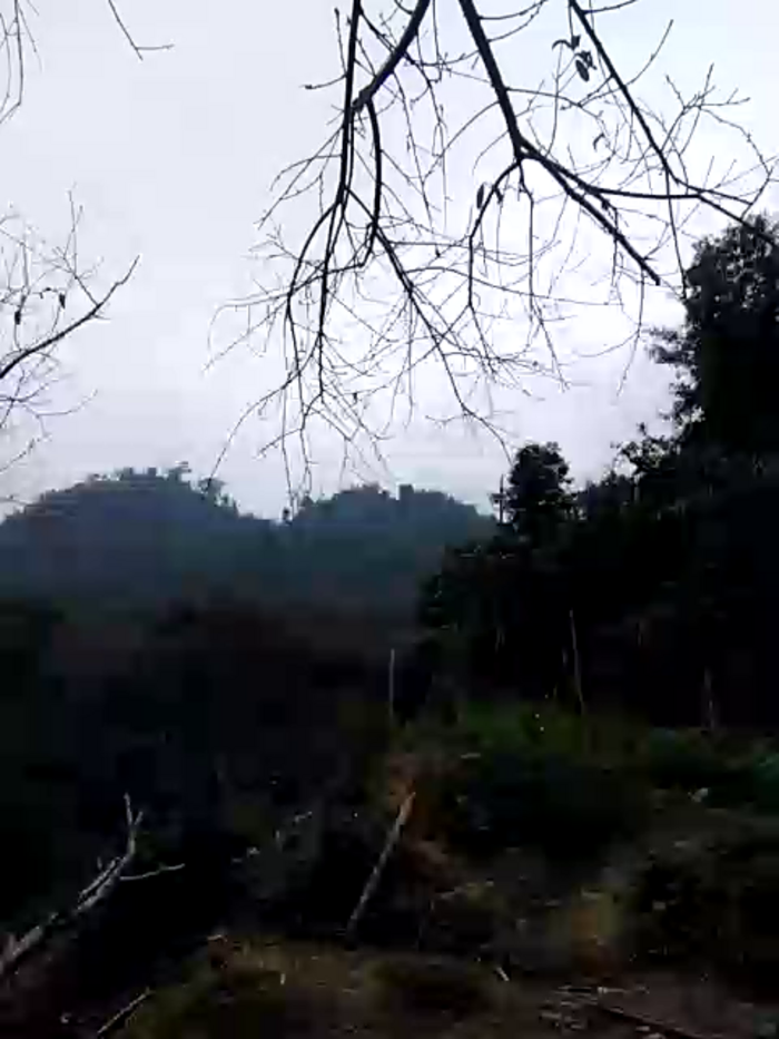 tara_0000