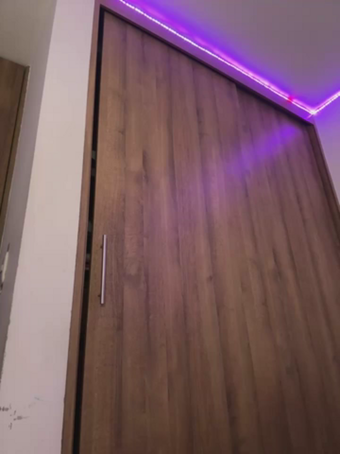 Megan_lu2