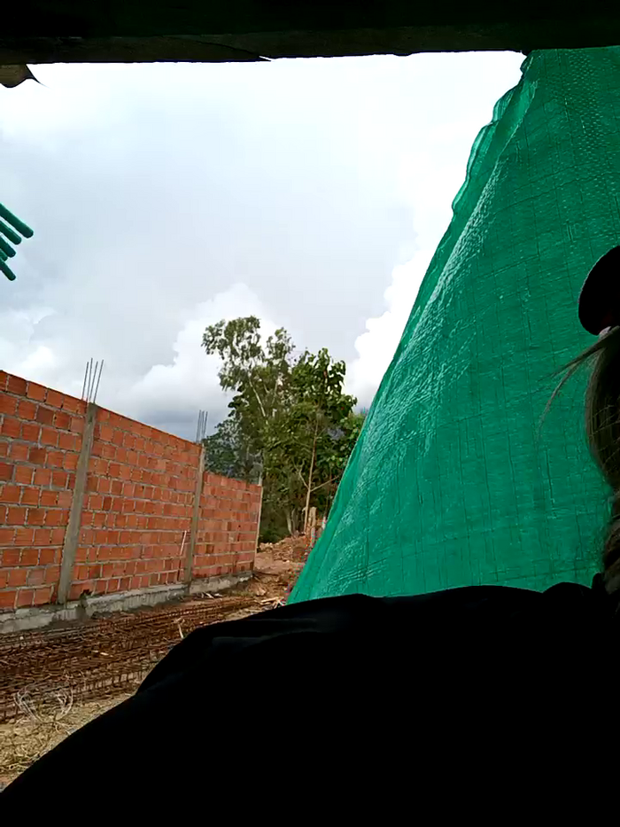 DIANITA_1988