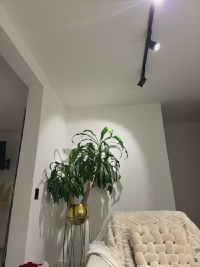 EllaSanz_