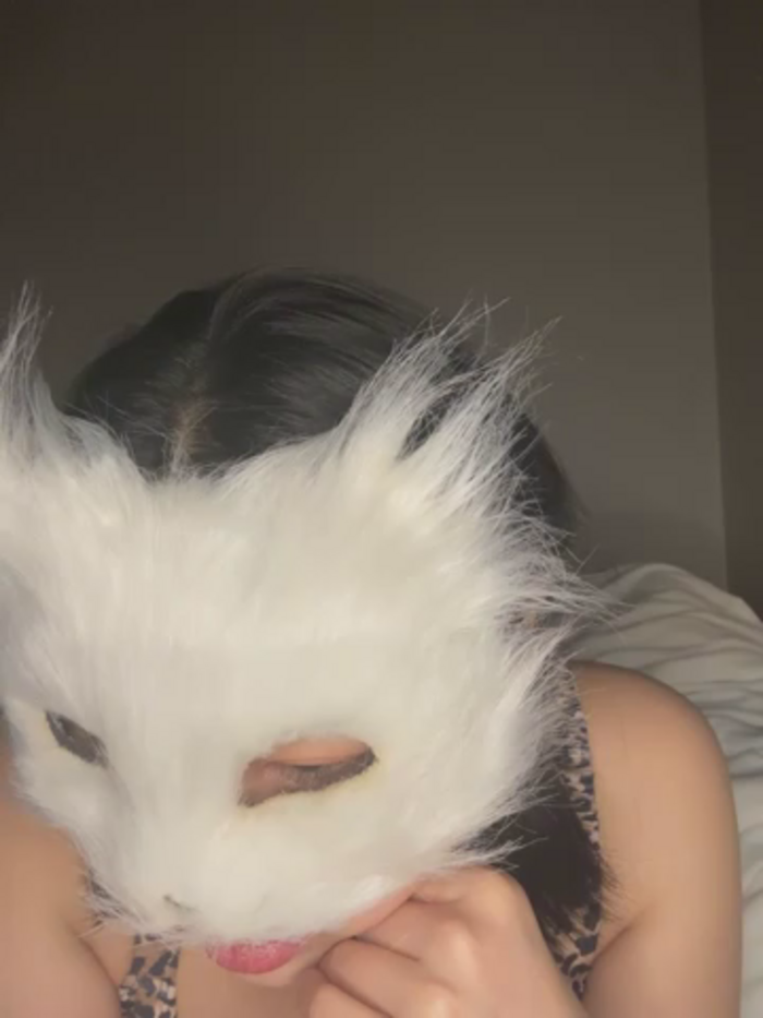 Kor_Cat