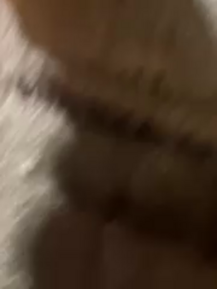 Alexandra_duque