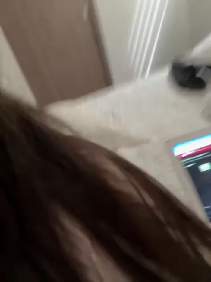 anli5