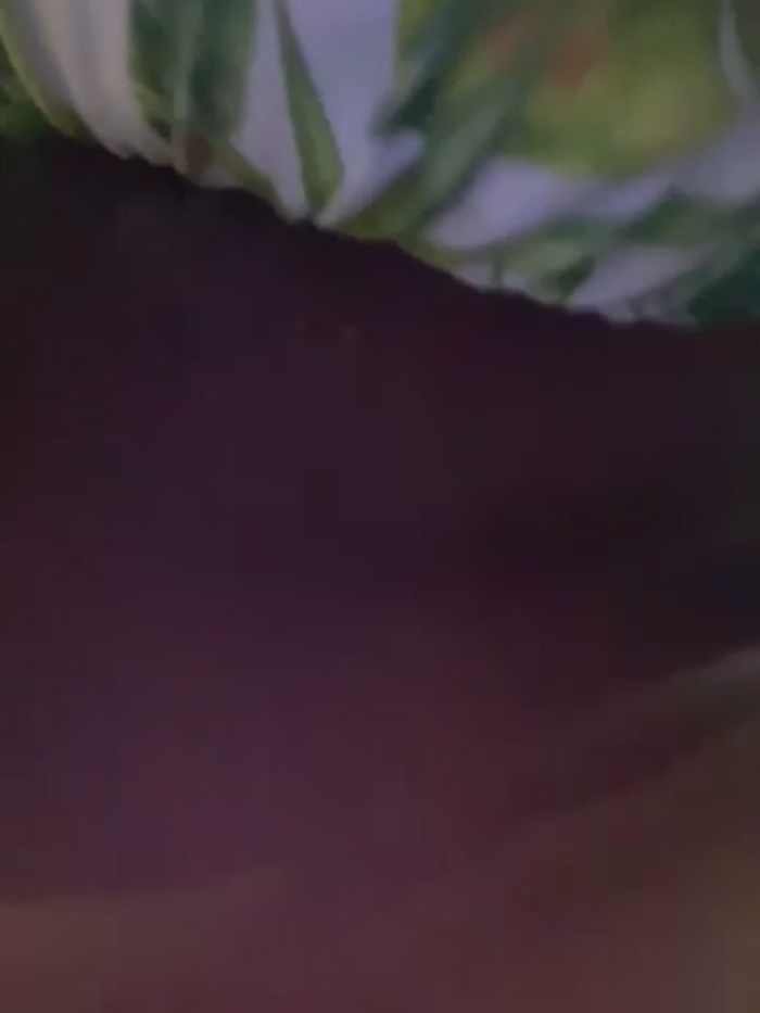kanandajenny