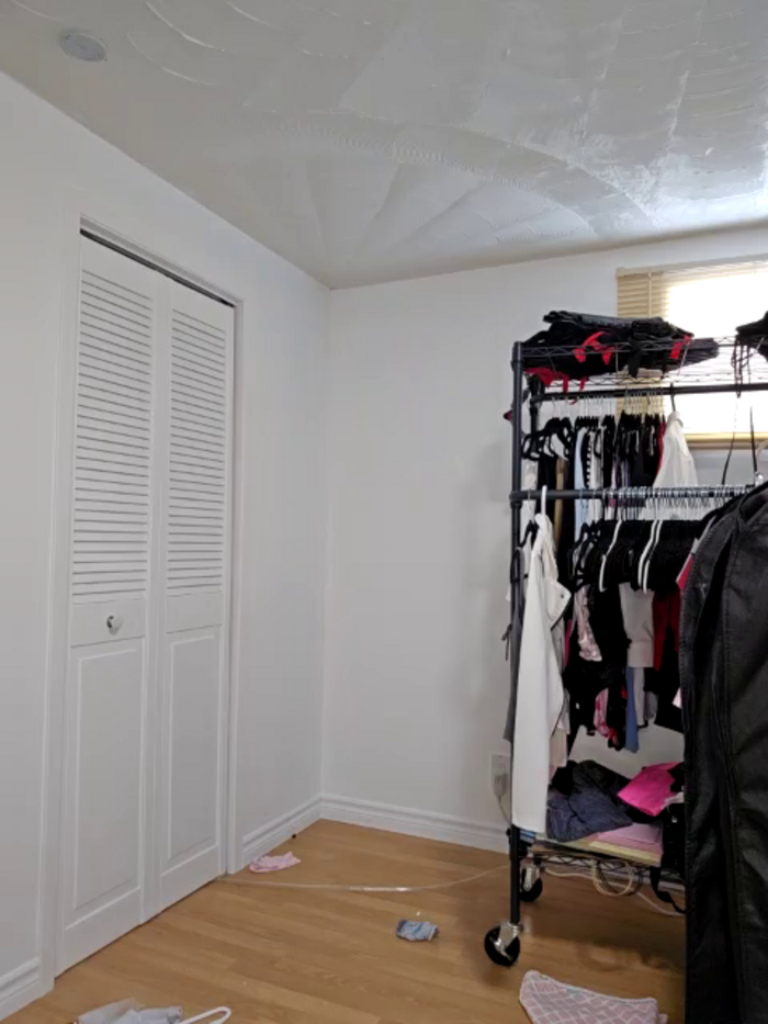 LilyOrion