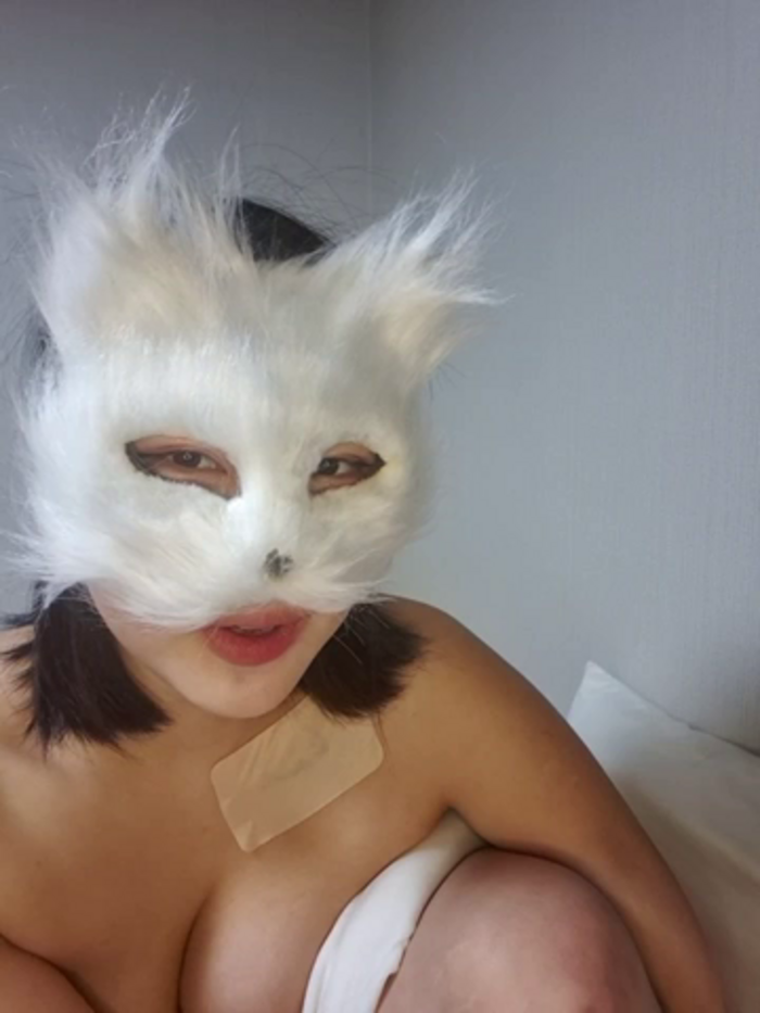 Kor_Cat
