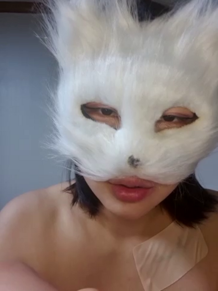 Kor_Cat