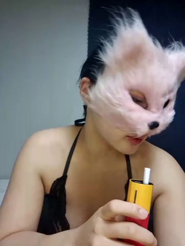 Kor_Cat
