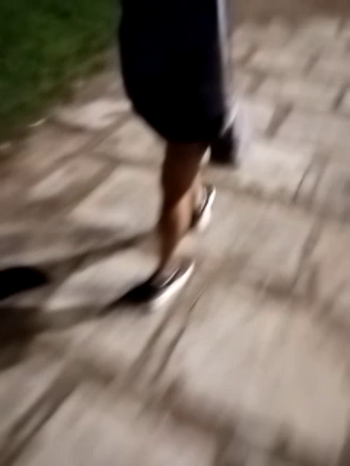 Jabibicol